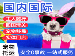 昆明空运国际宠物托运 【国